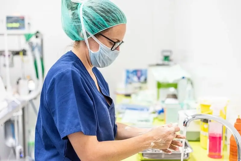 Understanding Candida auris: Insights and Prevention LTC 